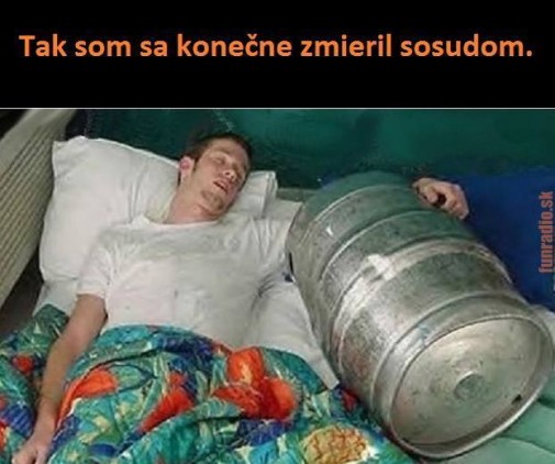 Príspevok 86333